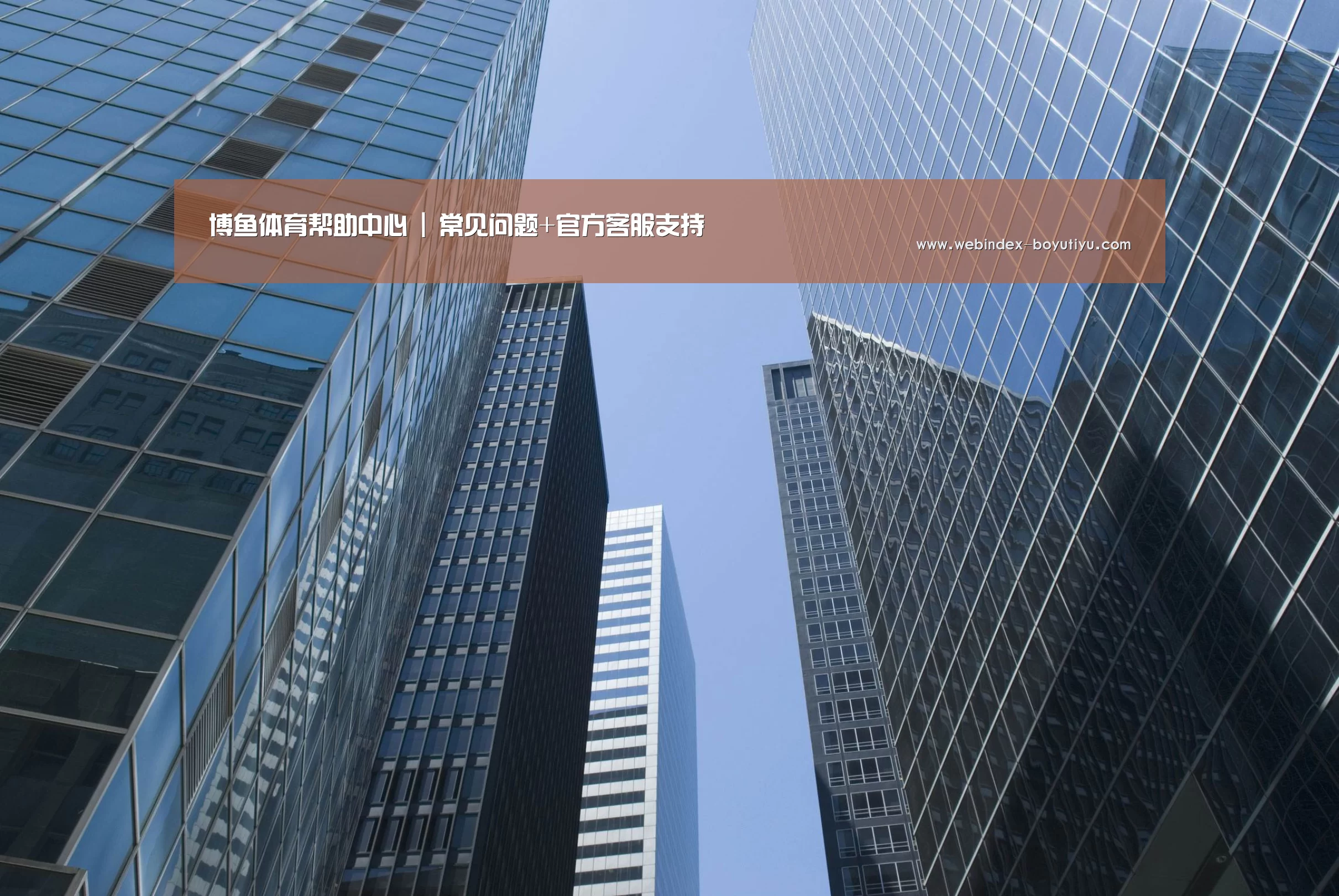 博鱼体育APP公司简介 