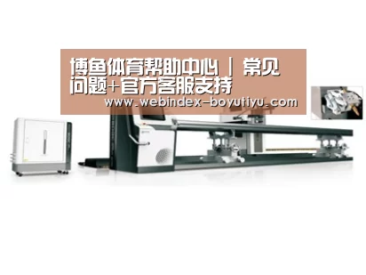 视频展示一