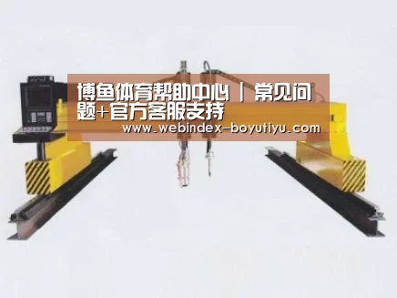 产品名称十七