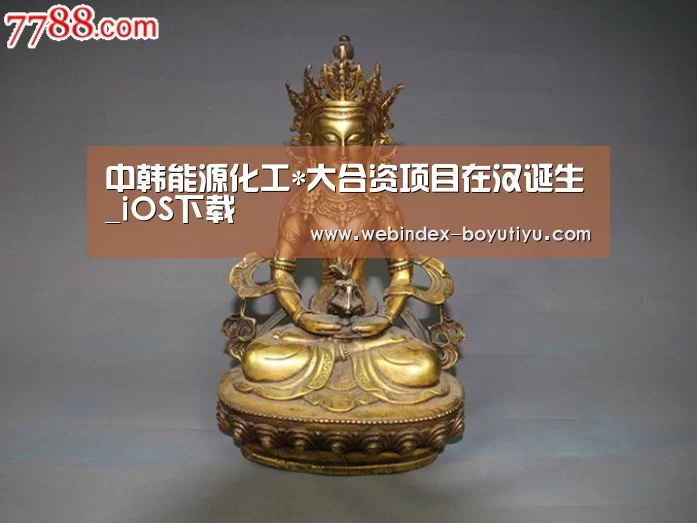 中韩能源化工*大合资项目在汉诞生_iOS下载