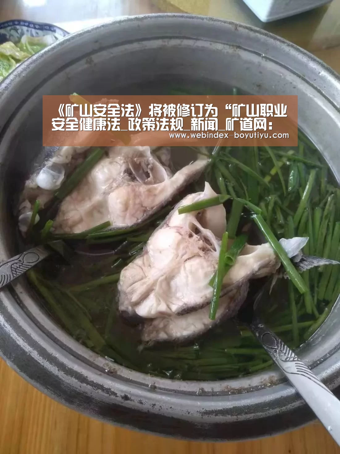 《矿山安全法》将被修订为“矿山职业安全健康法_政策法规_新闻_矿道网：Andro
