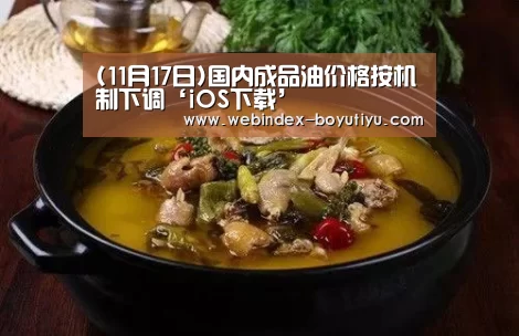 (11月17日)国内成品油价格按机制下调‘iOS下载’