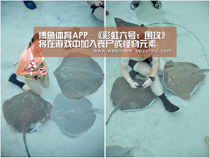 博鱼体育APP-《彩虹六号:围攻》将在游戏中加入丧尸或怪物元素(图3) APP下载